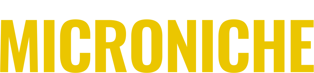 HowToDiscoverYourMicroniche