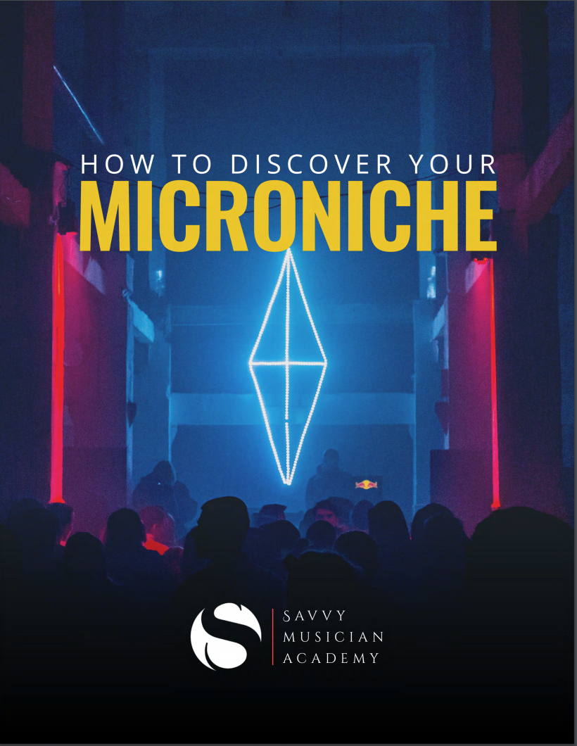 discover-microniche